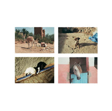 Load image into Gallery viewer, Fatima of The Hills (EDMUND ENGLISH) –– Subs Publishing
